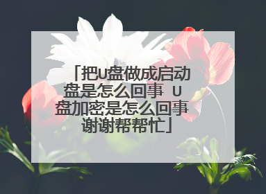 把U盘做成启动盘是怎么回事 U盘加密是怎么回事 谢谢帮帮忙