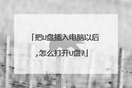 把U盘插入电脑以后,怎么打开U盘?