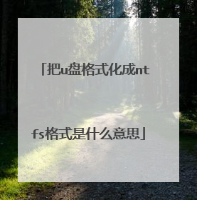 把u盘格式化成ntfs格式是什么意思