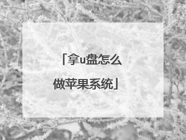 拿u盘怎么做苹果系统