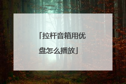 拉杆音箱用优盘怎么播放