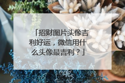 招财图片头像吉利好运,微信用什么头像最吉利?