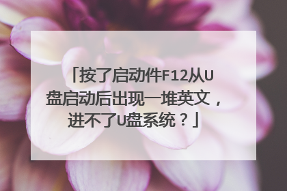 按了启动件F12从U盘启动后出现一堆英文,进不了U盘系统?
