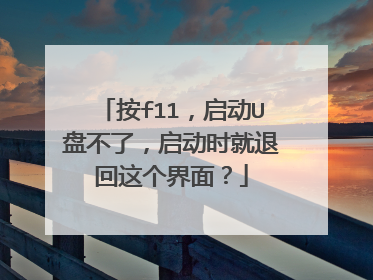 按f11,启动U盘不了,启动时就退回这个界面?