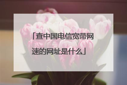 查中国电信宽带网速的网址是什么