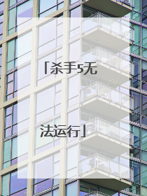 杀手5无法运行
