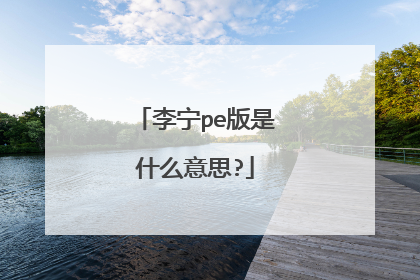 李宁pe版是什么意思?