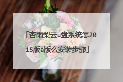 杏雨梨云u盘系统怎2015版a版么安装步骤