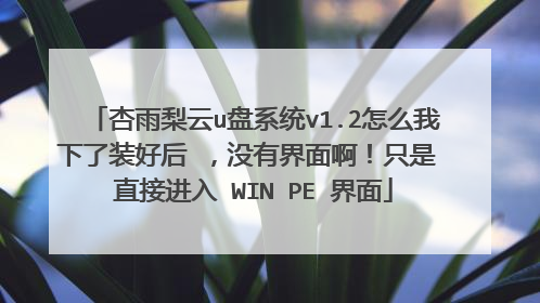 杏雨梨云u盘系统v1.2怎么我下了装好后 ，没有界面啊！只是 直接进入 WIN PE 界面