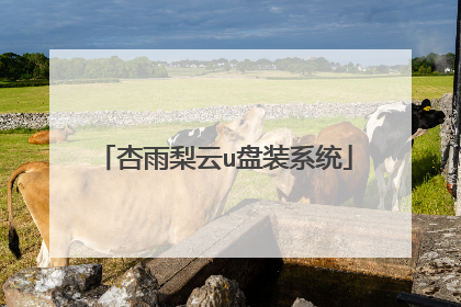 杏雨梨云u盘装系统