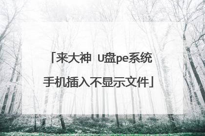 来大神 U盘pe系统 手机插入不显示文件
