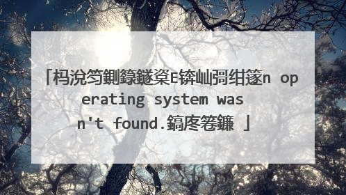 杩涗笉鍘籙鐩楶E锛屾彁绀篴n operating system wasn't found.鎬庝箞鐮�