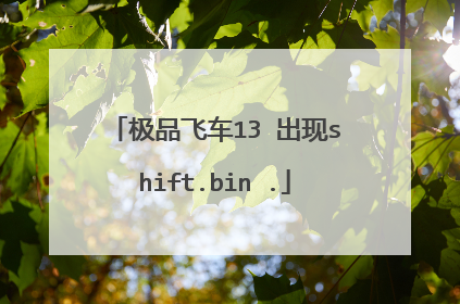 极品飞车13 出现shift.bin .