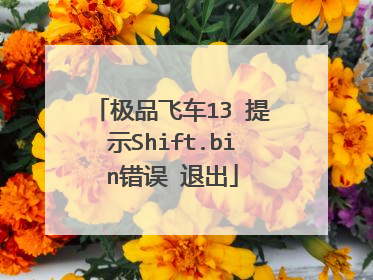 极品飞车13 提示Shift.bin错误 退出