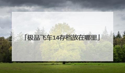 极品飞车14存档放在哪里