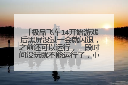 极品飞车14开始游戏后黑屏没过一会就闪退,之前还可以运行,一段时间没玩就不能运行了,重装游戏也没用?