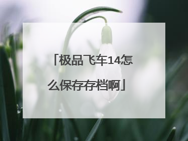 极品飞车14怎么保存存档啊