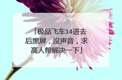极品飞车14进去后黑屏,没声音,求高人帮解决一下