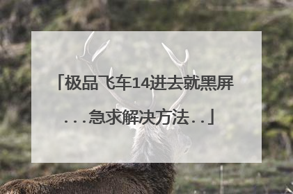极品飞车14进去就黑屏...急求解决方法..