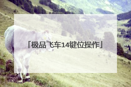 极品飞车14键位操作