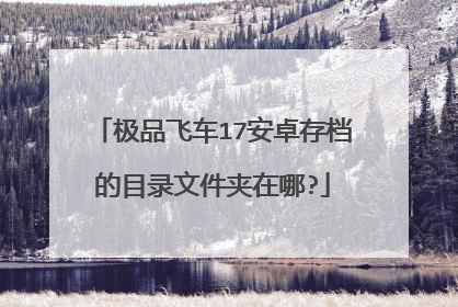 极品飞车17安卓存档的目录文件夹在哪?