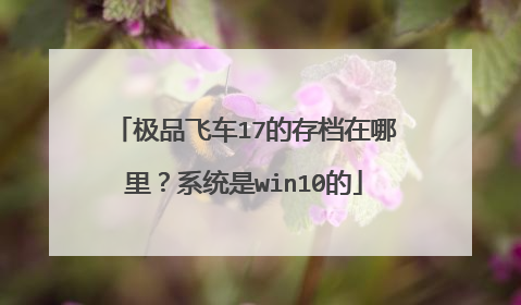 极品飞车17的存档在哪里?系统是win10的