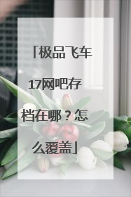 极品飞车17网吧存档在哪?怎么覆盖