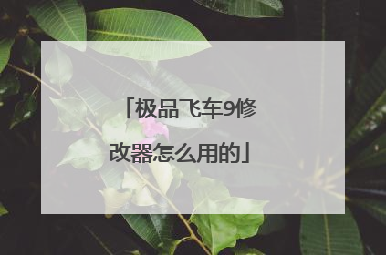 极品飞车9修改器怎么用的