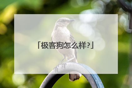 极客狗怎么样?