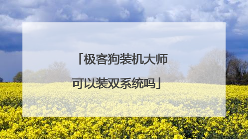 极客狗装机大师可以装双系统吗