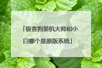 极客狗装机大师和小白哪个是原版系统