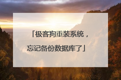 极客狗重装系统,忘记备份数据库了