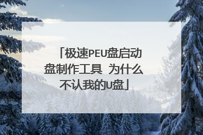 极速PEU盘启动盘制作工具 为什么不认我的U盘