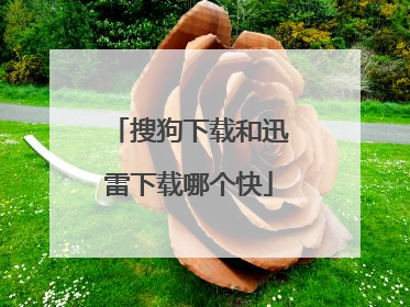 搜狗下载和迅雷下载哪个快