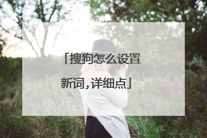搜狗怎么设置新词,详细点