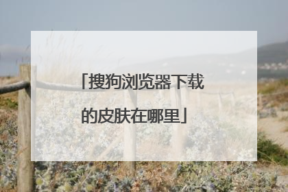 搜狗浏览器下载的皮肤在哪里
