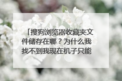 搜狗浏览器收藏夹文件储存在哪?为什么我找不到我现在机子只能用PE进 操作系统坏了 我没备份收藏夹