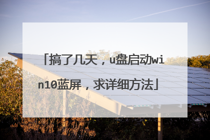搞了几天,u盘启动win10蓝屏,求详细方法