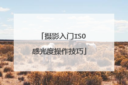 摄影入门ISO感光度操作技巧