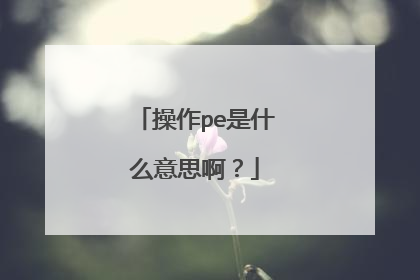 操作pe是什么意思啊？