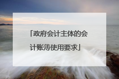 政府会计主体的会计账薄使用要求