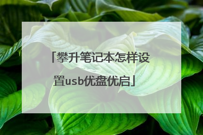 攀升笔记本怎样设置usb优盘优启
