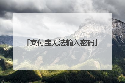 支付宝无法输入密码
