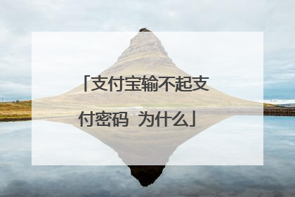 支付宝输不起支付密码 为什么