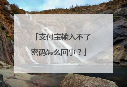 支付宝输入不了密码怎么回事?