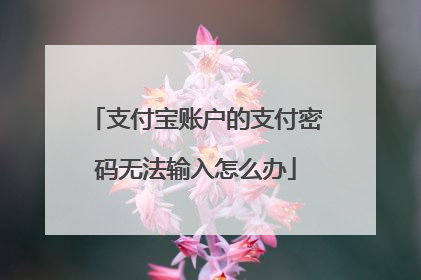 支付宝账户的支付密码无法输入怎么办