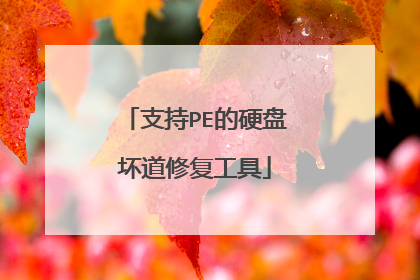 支持PE的硬盘坏道修复工具