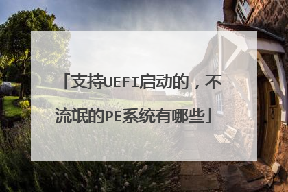 支持UEFI启动的,不流氓的PE系统有哪些