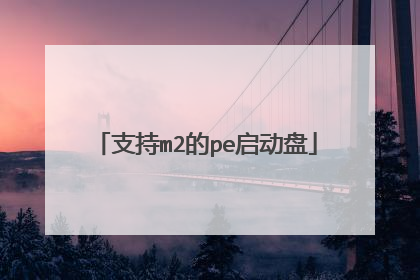 支持m2的pe启动盘