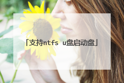 支持ntfs u盘启动盘